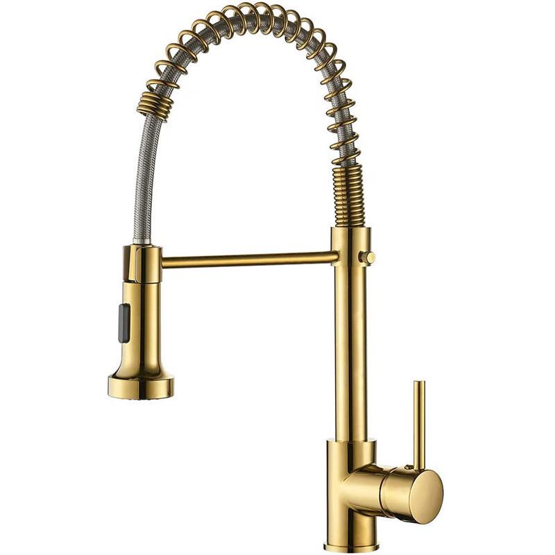 Pull-Out Kitchen Faucet with Spring Spout
