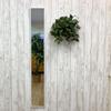 Stylish white wall slim 22cm wide x 153cm with a thin wooden Suitable for entryways and other WH full-length mirror, design, high, frame. spaces.