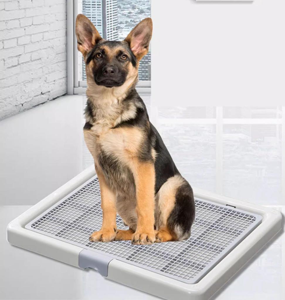 Bac à litière pour chien 65X52CM Toilettes pour animaux 60kg Grand bac pour chien Large chien Facile à nettoyer Bac antibactérien Boîte Blanc (65X52X4.5CM, Café)