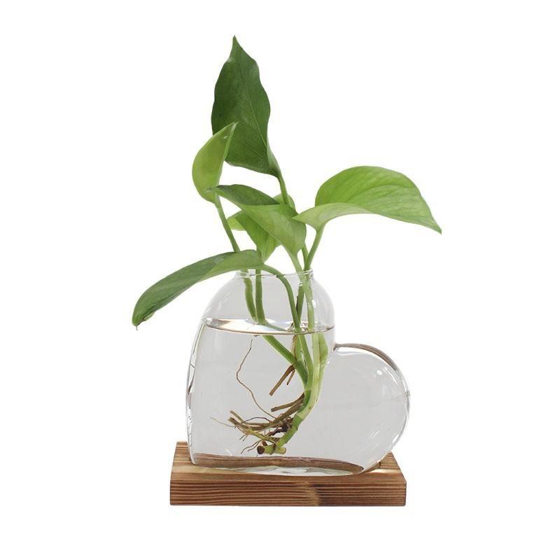 Transparent Hydroponic Glass Vase with Wooden Stand Love Shaped Minimalist Decor for Home Tabletop Living Room Ornament
