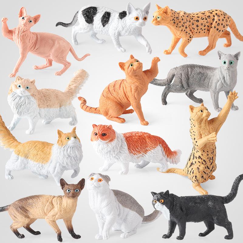 Cross-Border Cat Simulation Models: Persian, Hairless, Ragdoll, Orange, Leopard, Maine Coon, Siamese