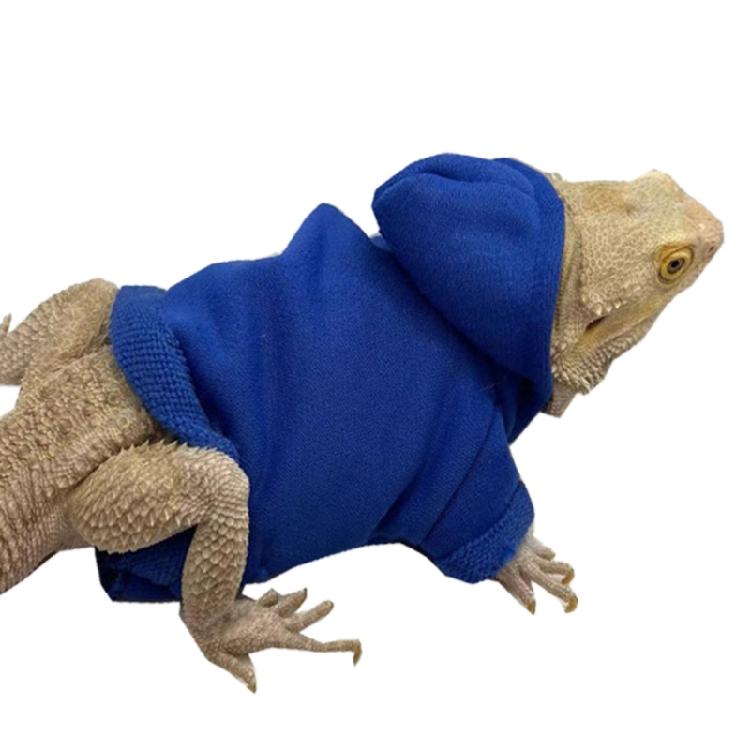 Bearded Dragon Warm Coat Soft Touching Hoodies for Reptiles Geckos Amphibians