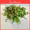 Plasticlysimachia Christinae Fake Branch For Wedding Decor And Studio Photography