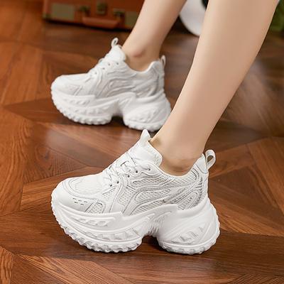 Daddy Shoes Women's New 2025 Spring and Summer Versatile Muffin Thick-soled Hollow Mesh Sandals Small Inner Height-increasing Women's Shoes