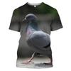 Wild Pigeon 3D Print Summer Men's O-Neck T-shirt Casual Short Sleeve OversizedPullover Fashion Streetwear Tee Tops Men Clothing