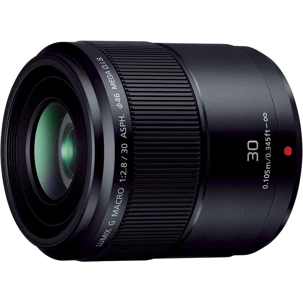 Panasonic LUMIX G MACRO 30mm/F2.8 ASPH. / MEGA O.I.S. H-HS030 Black (Fixed Focal Length Macro Lens for Micro Four Thirds)