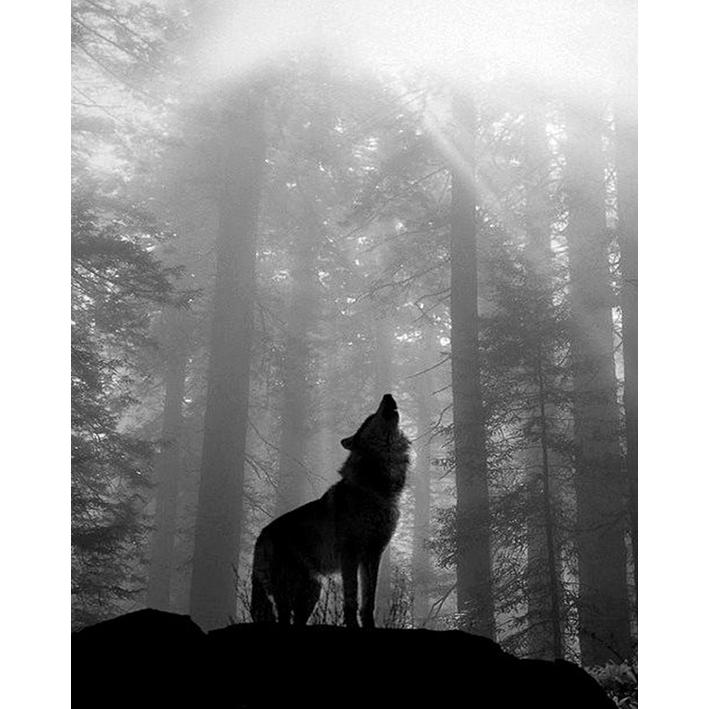 

5D алмазная картина, полная круглая вышивка крестом, полный комплект, мозаика из стразов, подарок для домашнего декора 15x20CM