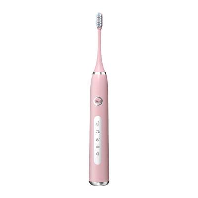 Rechargeable Sonic Electric Toothbrush CN Plug (adapter Included)
