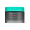 BRING GREEN Teebaum Cica Poren Tonmaske Starke Rote Bohnen Peeling Maske Tiefenreinigung 100g