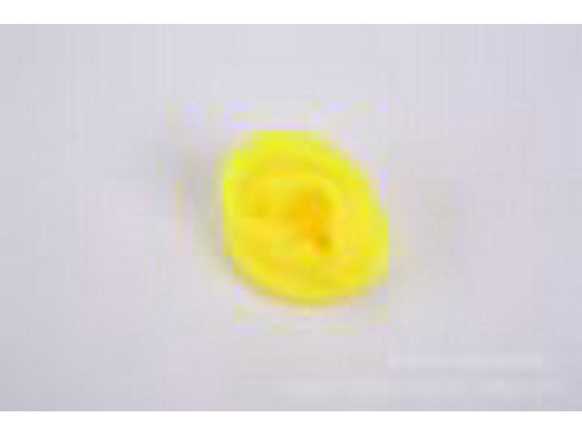 Silicone Ear Model for Training, Display & Ear Studs or Earphones