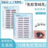 Aimo - Natural Crisscross Glue-Free Cluster False Eyelashes