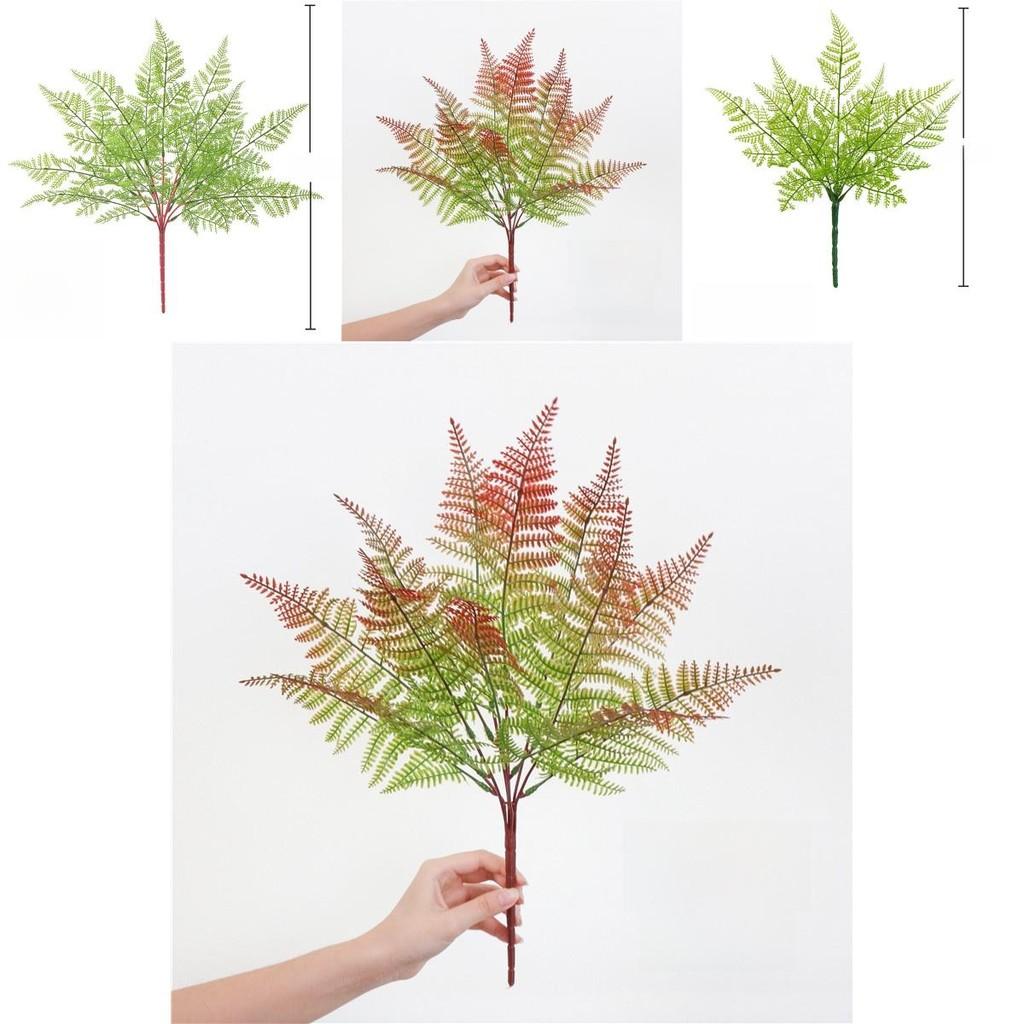 Faux Plastic Pteridium Aquilinum Var Latiusculum Plant Accessories For Gardening Photography And Interior Decoration