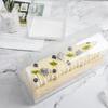 Changbaosen Portable Transparent PET Cake Roll Boxes