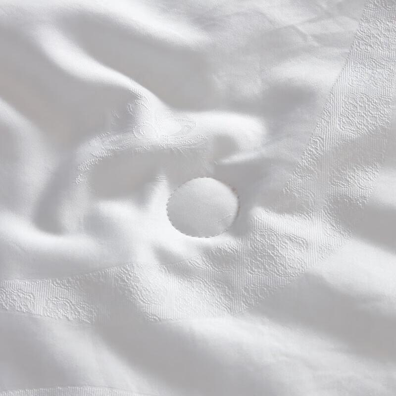 Mengjie Tussah Silk Blend All-Season Quilt