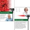 Tinnitus Ear Laser Therapy LLLT Irradiation Laser Physiotherapy Earplug Otitis Media Deafness Diabetes Hypertension Treatment