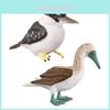 Parrot Kookaburra Model Set With Pvc Material For Childrens Educational Play And Collecting