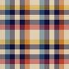 Outdoor Decorative Fabrics Oxford - Checked Pattern 48