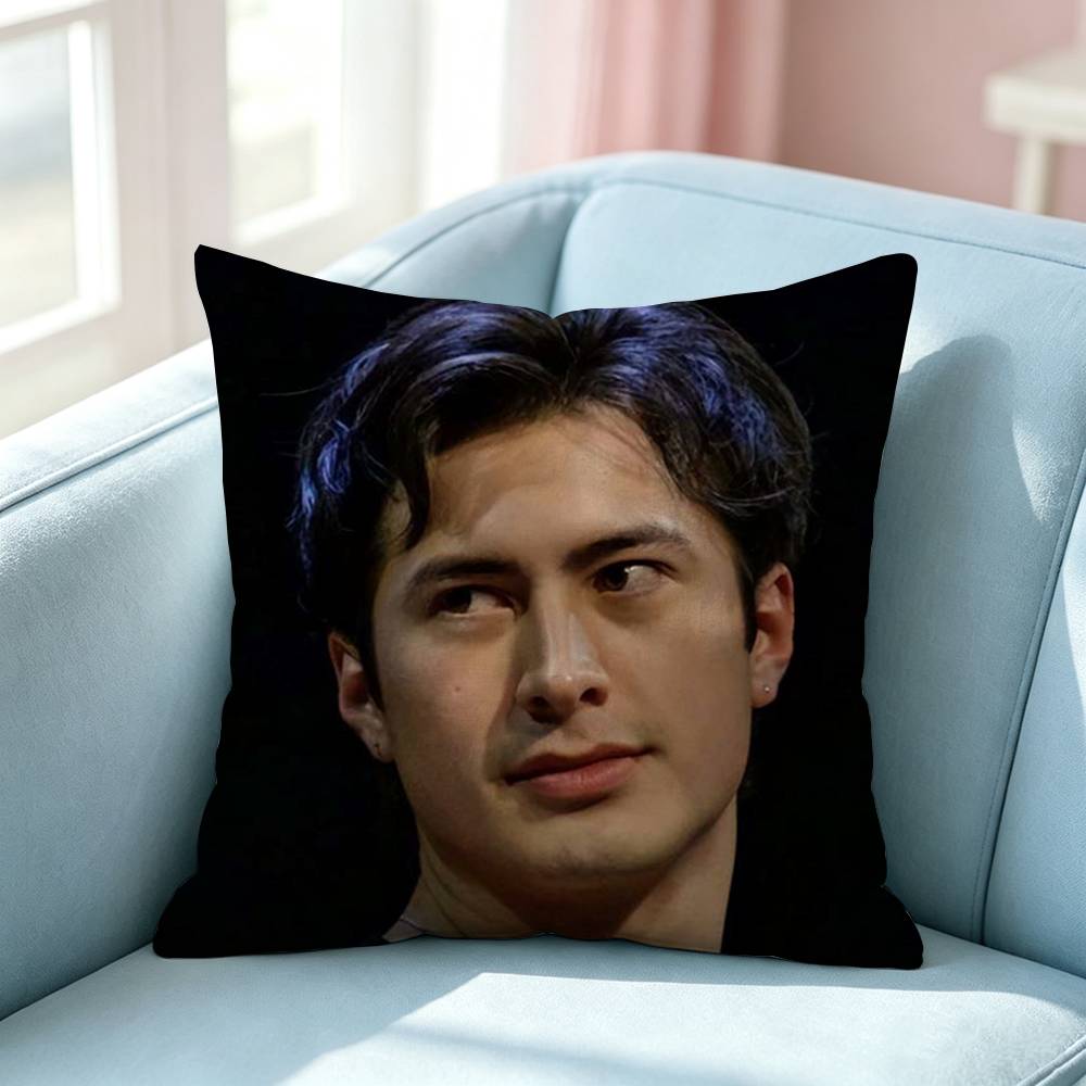 Hudson WWilliams SShane Hollander Pillow Case Square DoubleSided Sofa Cushion Cover Bedroom Bedside Pillow