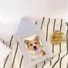 Creative Cotton Picture Frame Wall Hanging Picture Frame Ornaments  Children Room Decor