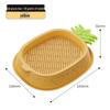 Cat Grass Hydroponic Kit: Wheatgrass Catnip Snacks for Hairball Relief