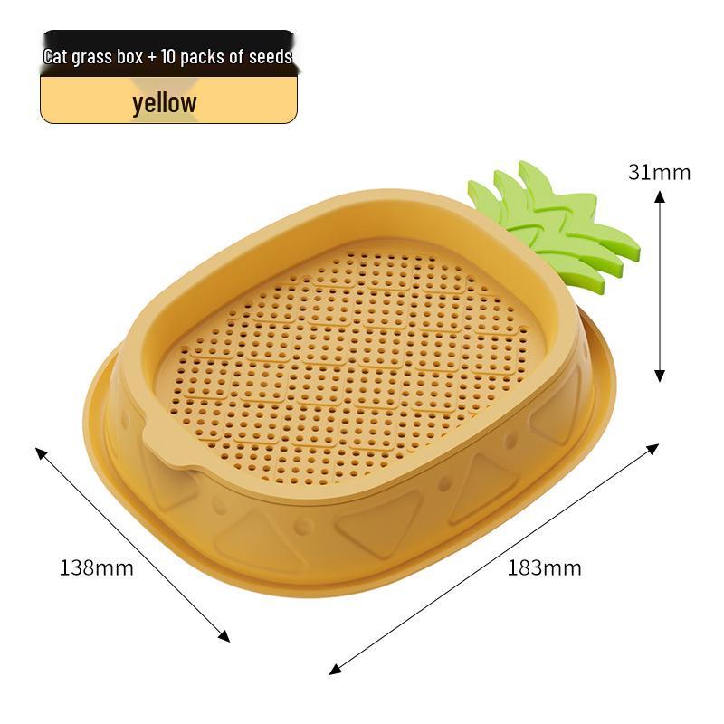 Cat Grass Hydroponic Kit: Wheatgrass Catnip Snacks for Hairball Relief