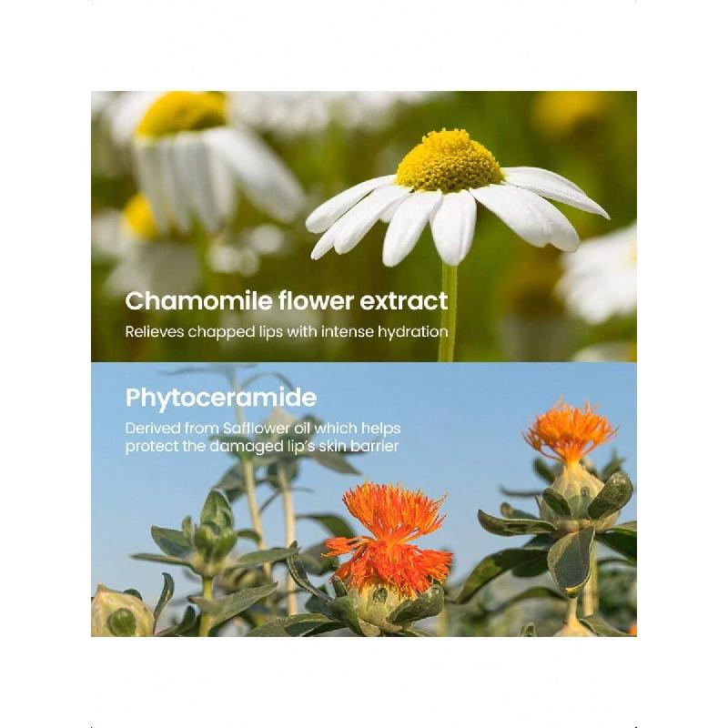 Beplain Chamomile Intense Moisturizing Lip Balm 3.6g | Dual Core Lip Moisturizer For Dry, Cracked, Sensitive Lips | Natural Daily Lip Care