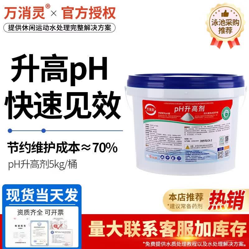 Swimming Pool Water pH Regulator Powder