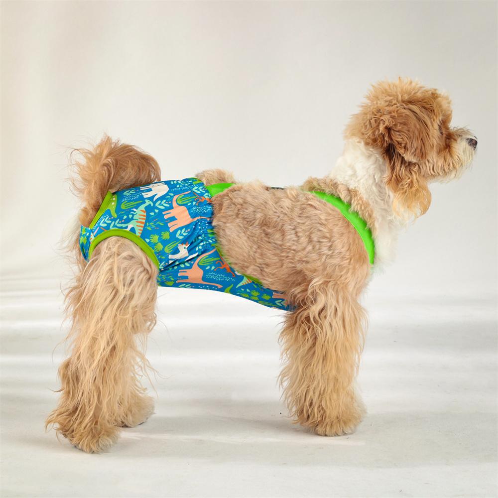 Cartoon Female Cat Dog Shorts Underwear Pet Physiological Pants Diaper Briefs For Small Girl Cats Dogs Siamese Mascotas Panties