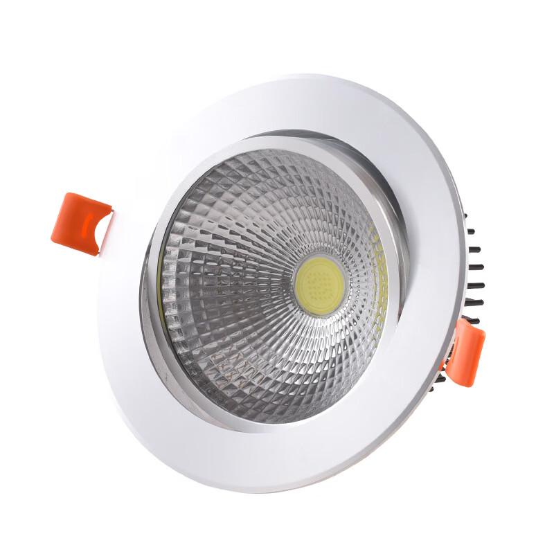 OEING LED Ceiling Spotlight