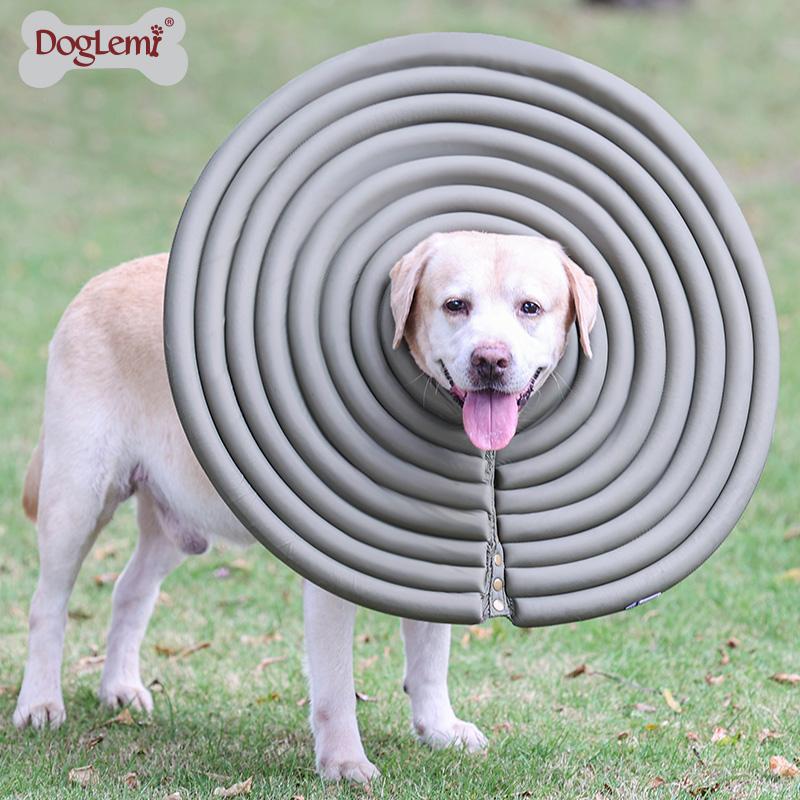Dog Cat Collar Pet Anti-Bite Ring Golden Retriever VIP Neck Cover Large Dog Headgear Cat Ring