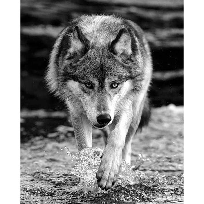 

5D DIY Алмазная картина Полная круглая вышивка крестом Алмазная вышивка Стразы Мозаика Подарок Домашний Декор Набор для творчества 15x20CM