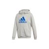 Kids Sweatshirts Hooded Moderate ED6471