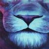 Comforter Microfiber Bed Set Animal 3D Nose Lion Head Queen Size Coloured Drawing Bedding Bed Set Luxury-No Bedsheet