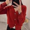 European V-Neck 100% Wool Knit Cardigan - Women's Autumn/Winter Embroidered Long Sleeve Sweater