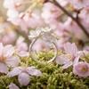 Delicate Design Adjustable Rings Elegant Women Jewelry Ornaments Flower Opening Rings  Gift