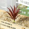 Plante succulente artificielle, 1 pièce, décoration de bonsaï de jardin réaliste pour la maison et le bureau, DIY