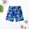 Boys' Cartoon Long-Sleeve Quick-Dry Sun Protection Swimsuit