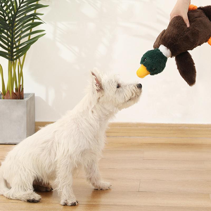 Писклявые игрушки для собак, милые плюшевые игрушки для собак «Дикий ...