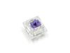FILCO CHERRY MX2A RGB 5-Pin Switches, Purple, Pack of 70, for Clear Case RGB Keyboards (FKSW70CH/MPU-RZ)