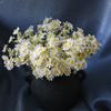 Artificial Flowers White Silk Daisies for Home Decor Nordic Japanese Style Versatile Flexible