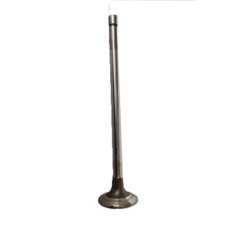 Moli Shaanxi SX2190N Exhaust Valve