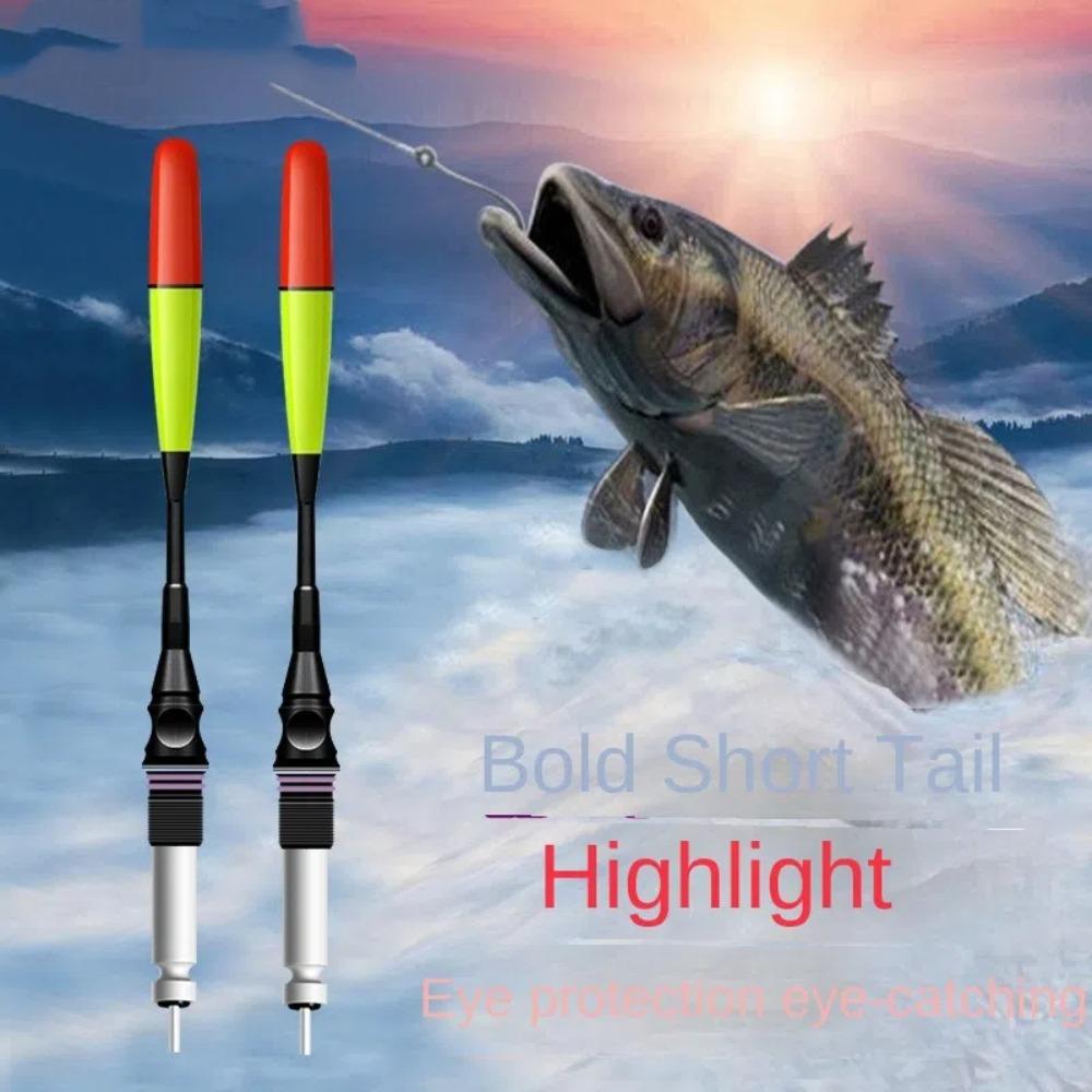 2pcs Ultra Sensitive Luminous Float Luminous Fishing Buoy Night Fishing Floa  Night Fishing