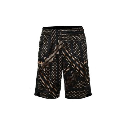 Dri-Fit James Basketballshorts Herrenshorts Schwarz 893807-010
