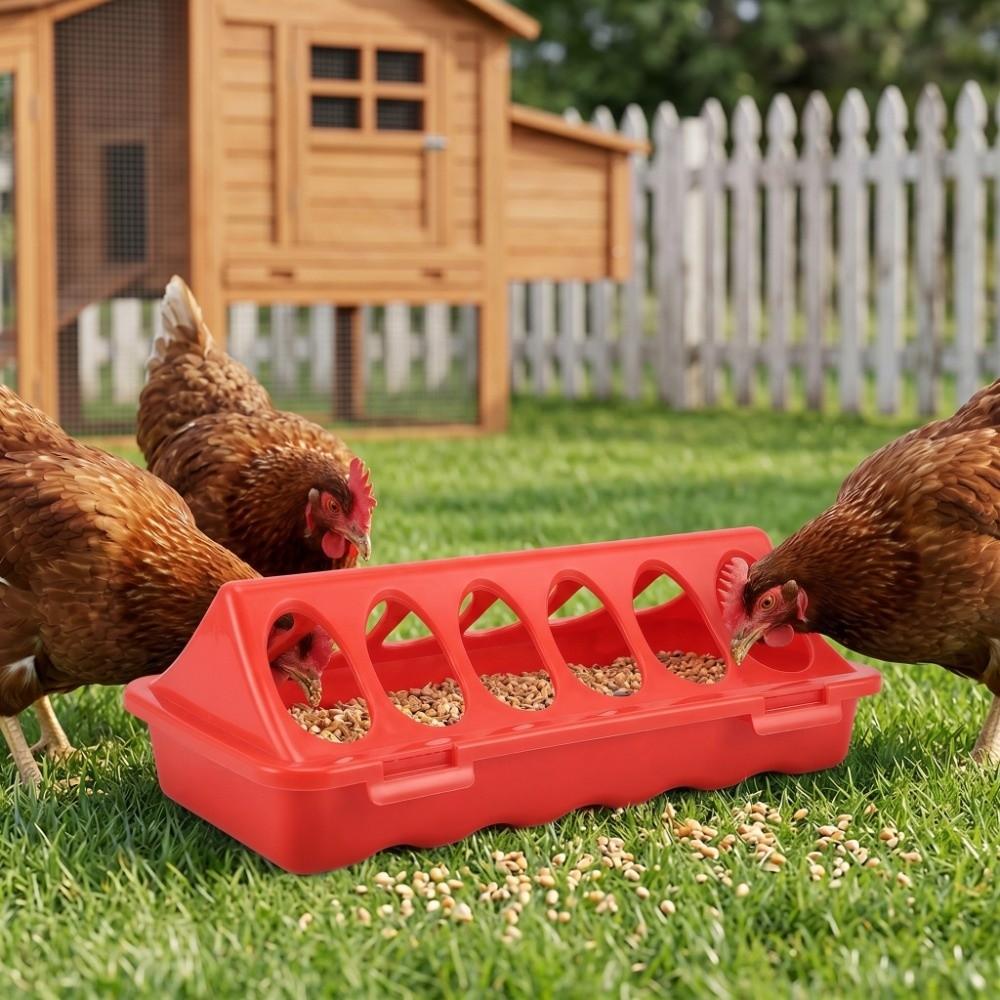 5Pcs Plastic Anti Spill Feeding Tray Sturdy Small Poultry Feeder Easy to Use Chick Feeder Quail