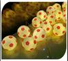 World Cup Football Theme LED String Lights - Indoor Party & Festival Decor - Baby's Breath Colorful Design