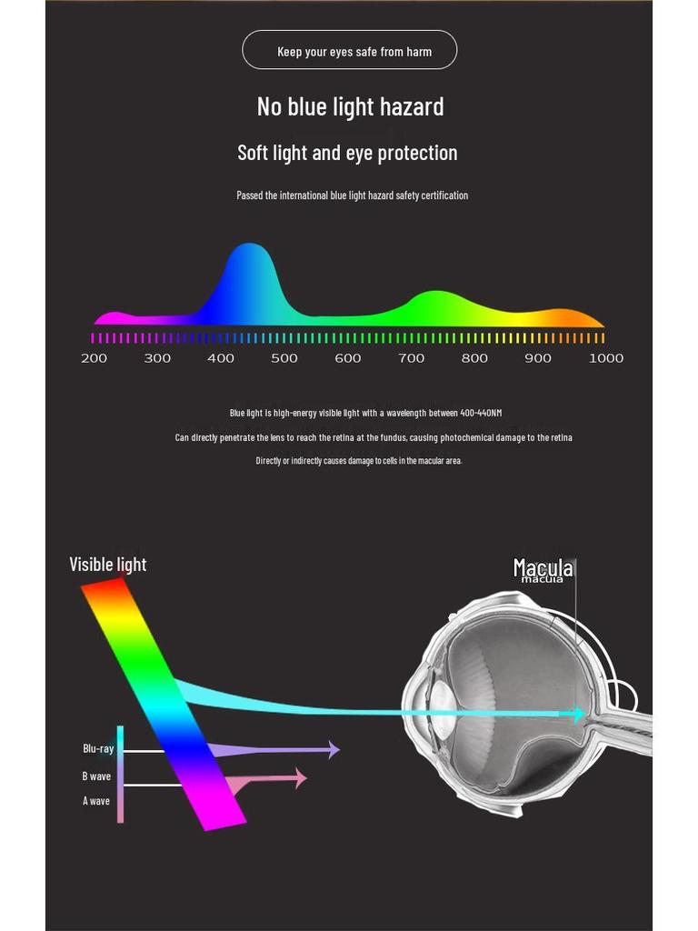 Rechargeable Dual-Use Desk Lamp with Eye Protection – Bright, Foldable, and Smart for Student Reading and Writing.