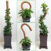 Bendable Moss Pole  Plants Climbing Support Extension Pole Monstera Palm Vines Soporte Stakes Garden Potted Plant Accessories