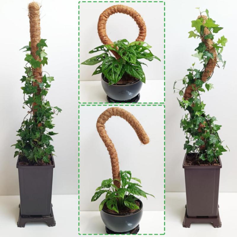 Bendable Moss Pole  Plants Climbing Support Extension Pole Monstera Palm Vines Soporte Stakes Garden Potted Plant Accessories