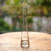 Hánwèi Decorative Glass Vases & Hydroponic Planters