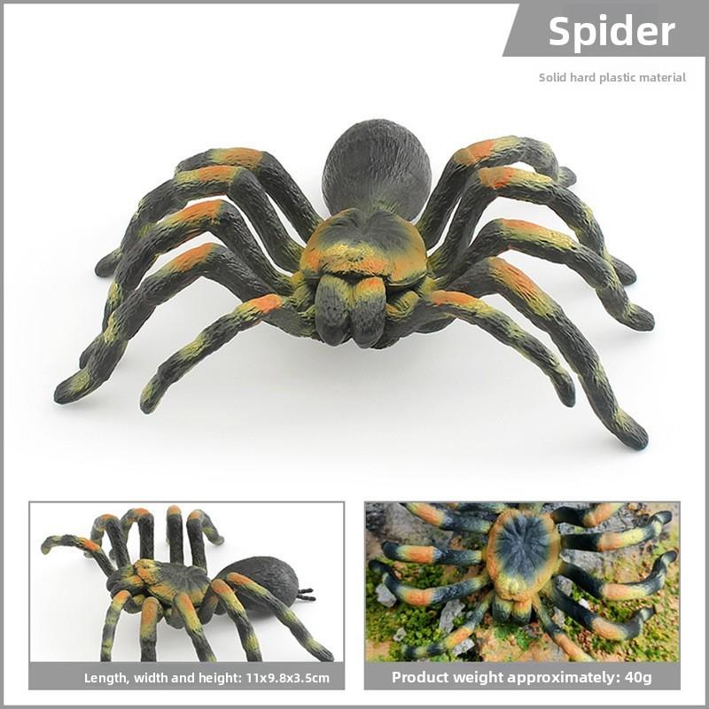 Spider Model Set With Plastic Material For Home Decor And Gift For Nature Lovers
